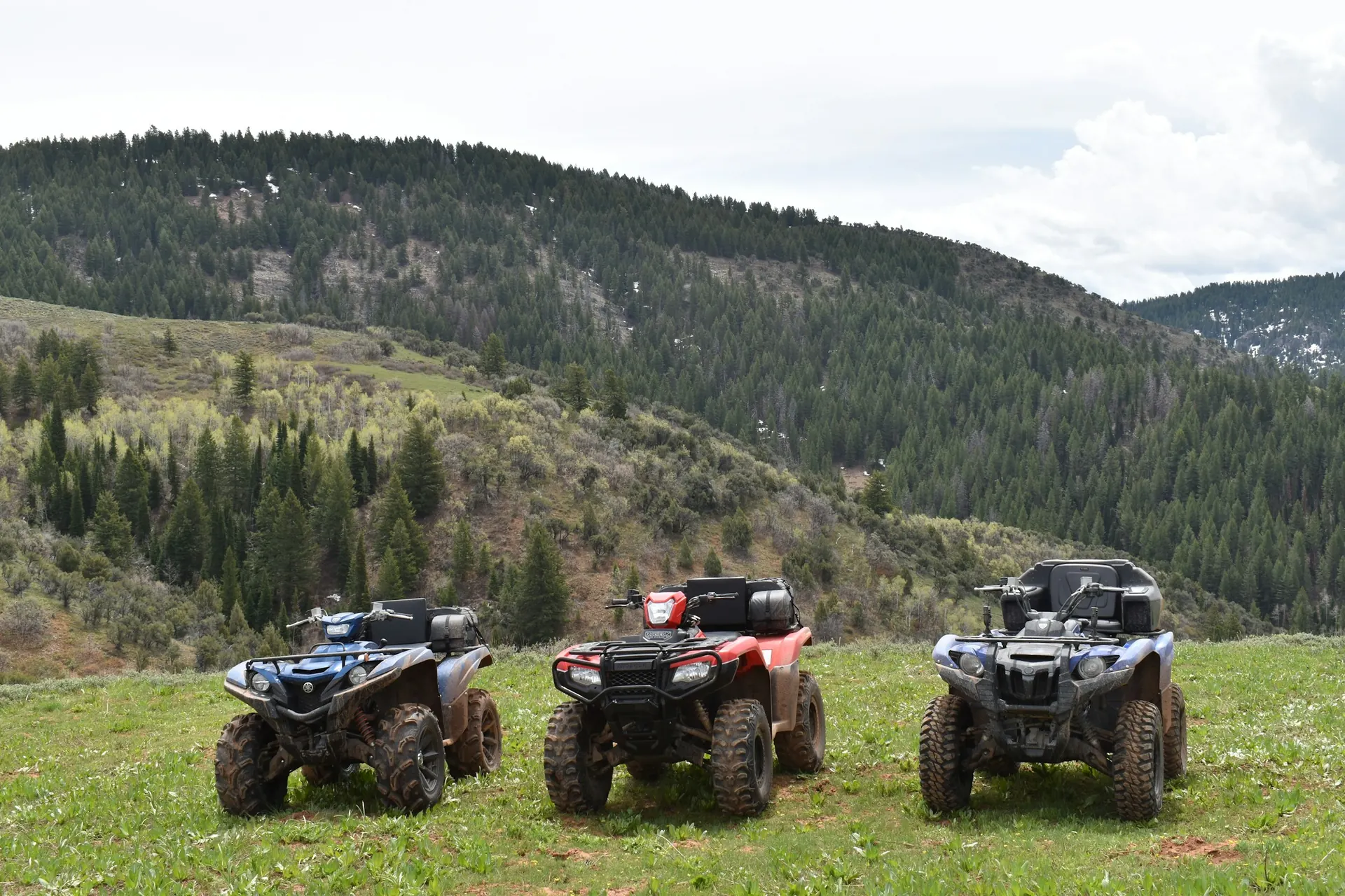 Bovilla Lake Quad Adventure