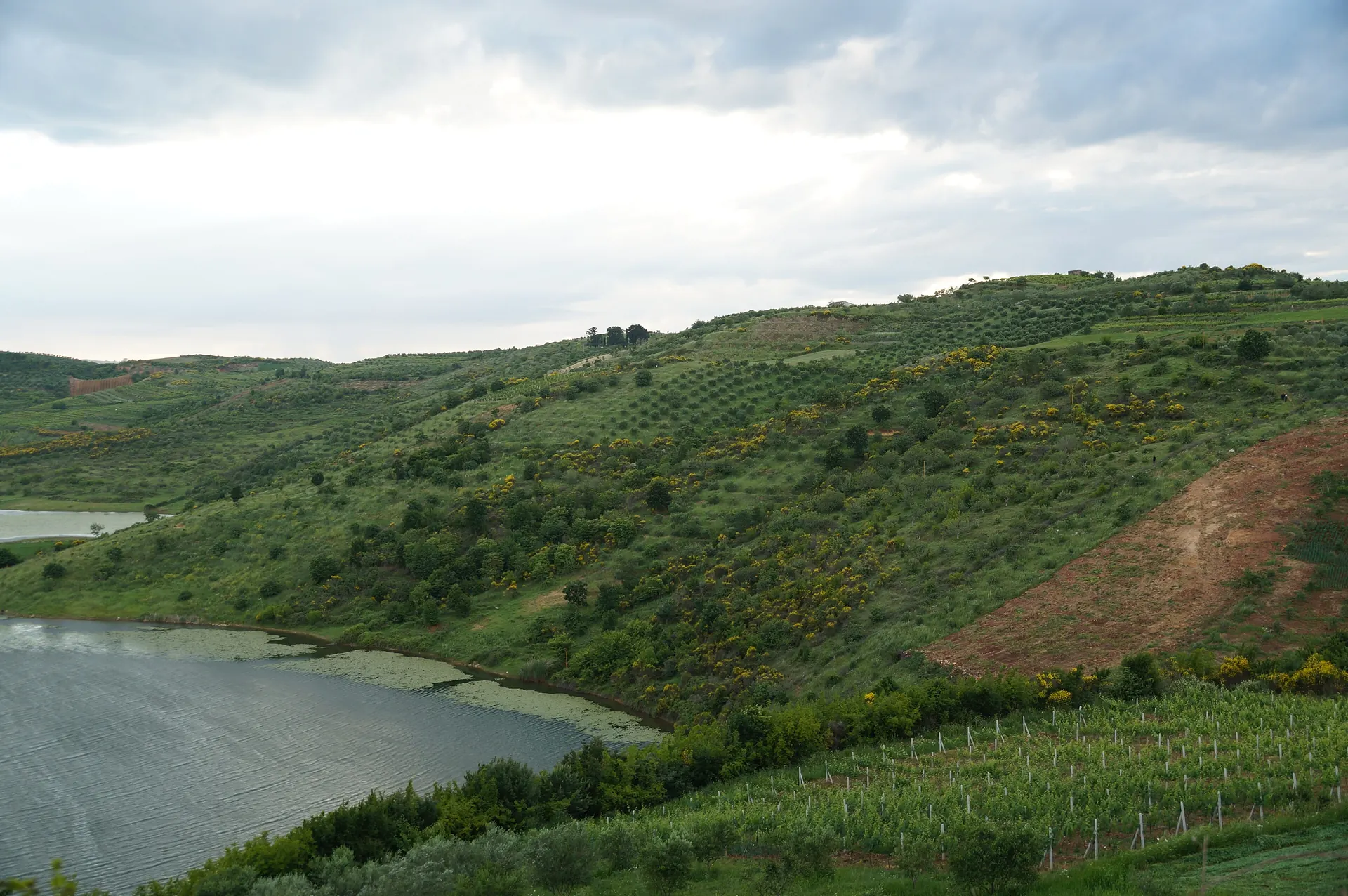 Berat & Belshi Lake Day Trip from Durrës — photo 2