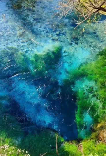 The vivid blue spring water of the Blue Eye near Saranda