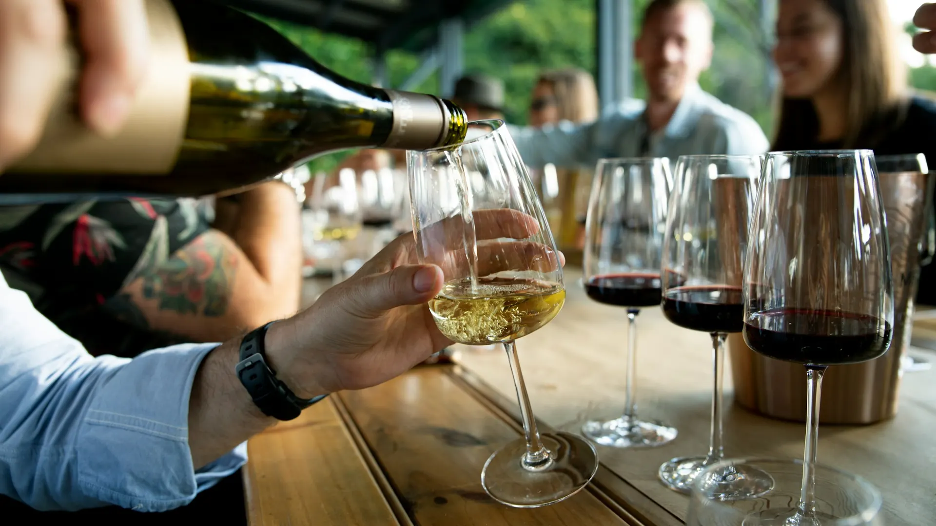 Berat Winery Tour with Tastings — photo 2